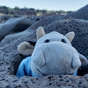 Meet your Posher, Rhianna